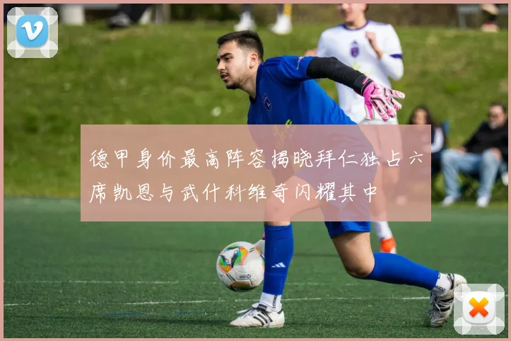 德甲身价最高阵容揭晓拜仁独占六席凯恩与武什科维奇闪耀其中