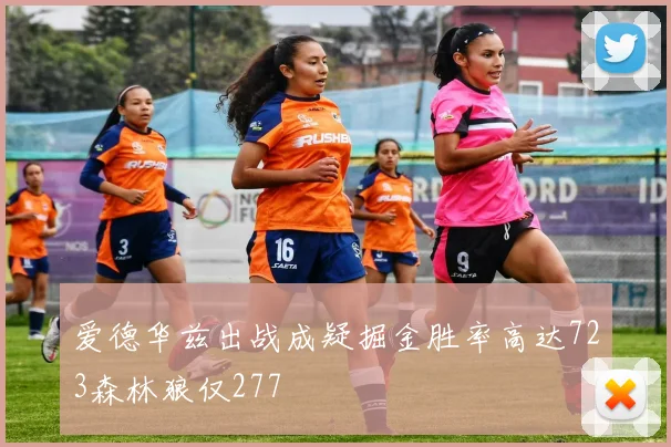 爱德华兹出战成疑掘金胜率高达723森林狼仅277