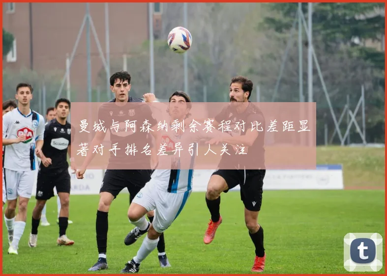 曼城与阿森纳剩余赛程对比差距显著对手排名差异引人关注