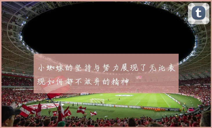 小蜘蛛的坚持与努力展现了无论表现如何都不放弃的精神